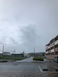 IMG_7433.jpg