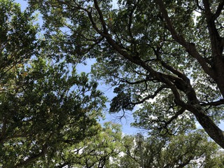 IMG_8137.jpg